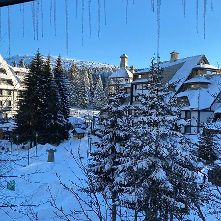 Gala Kop Kopaonik